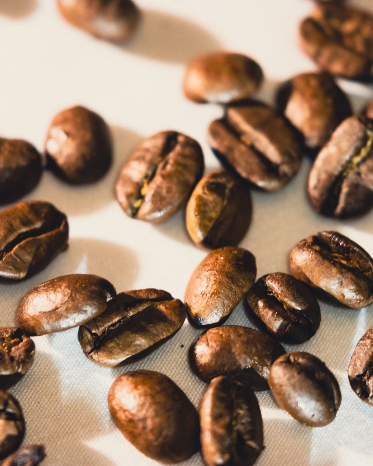 Bar Espresso Whole Beans