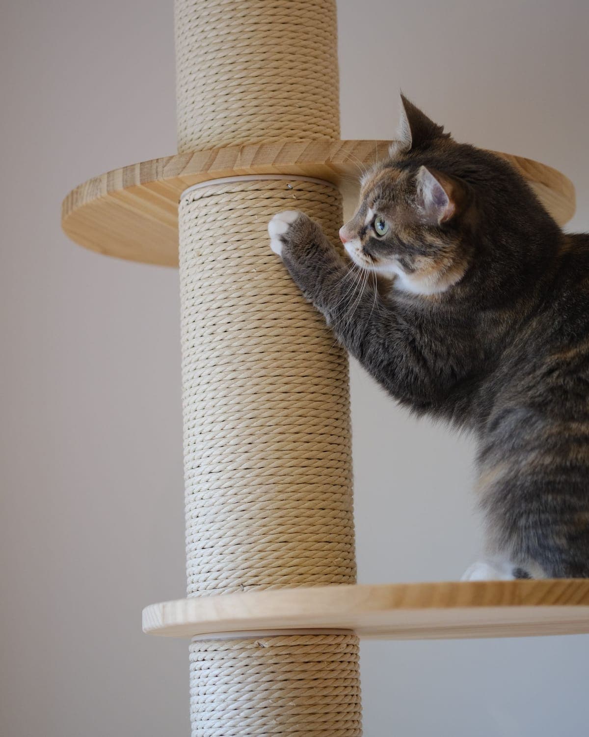 Tall Sisal Scratching Post