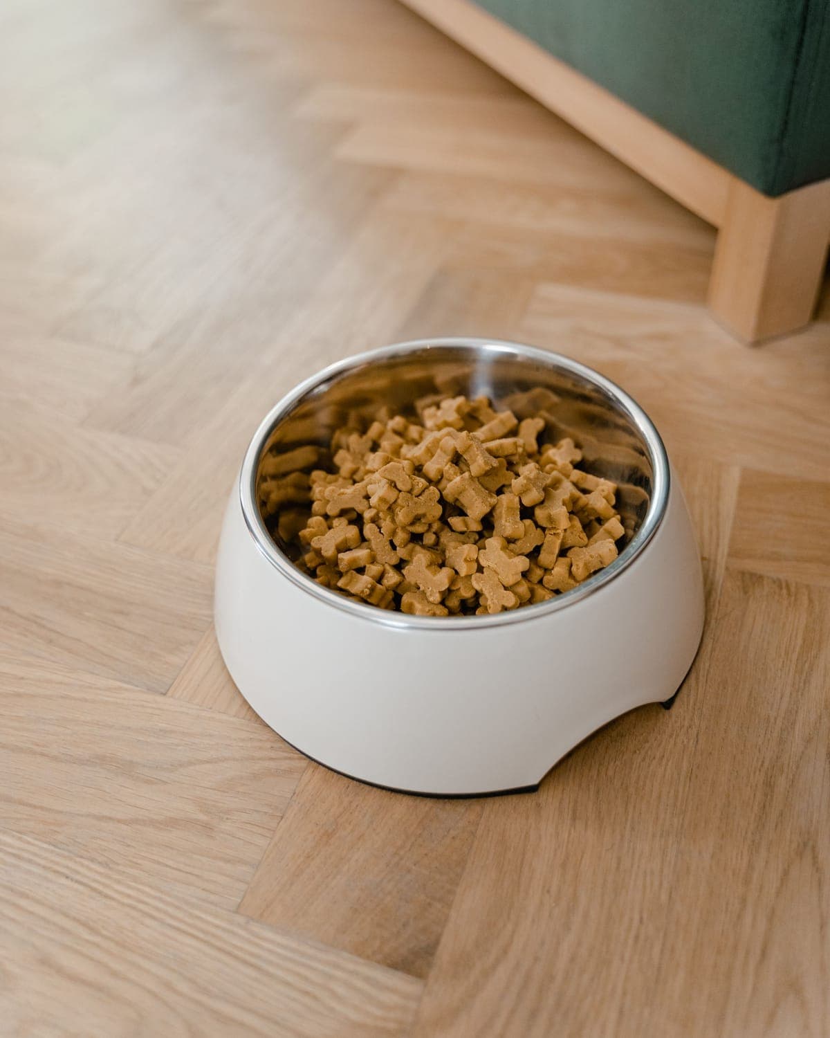 Slow Feeder Bowl