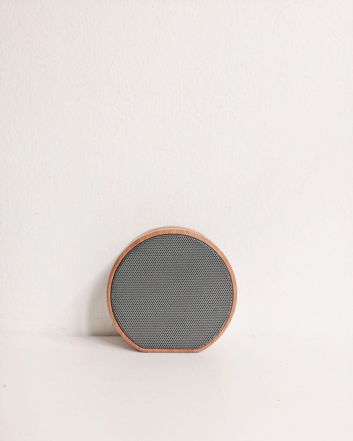 Field Speaker