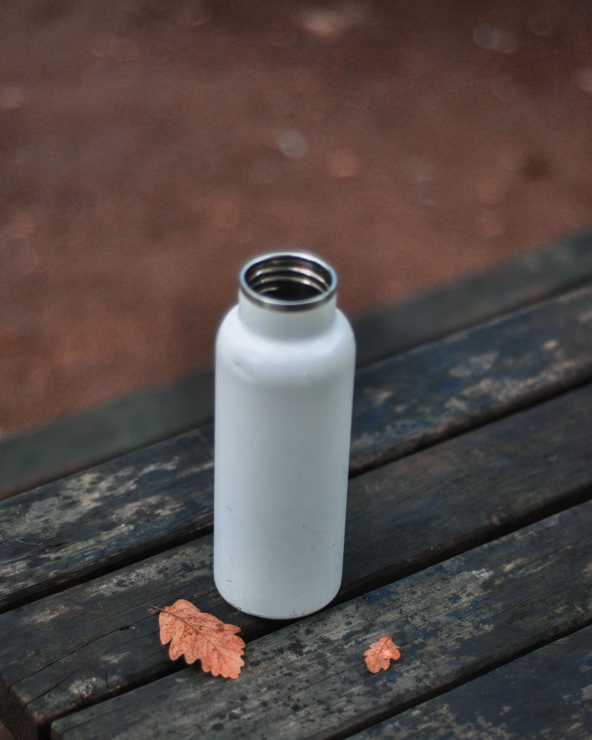 Insulated Steel Bottle